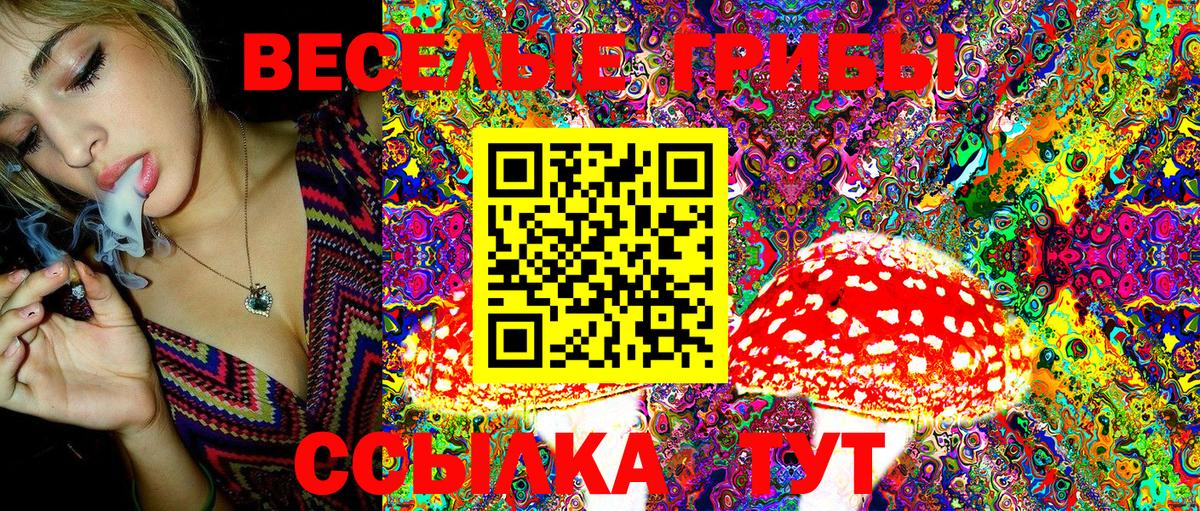 Псилоцибиновые грибы ЛСД  Псилоцибиновые грибы GOLDEN TEACHER  Алексин  Вход с VPN 