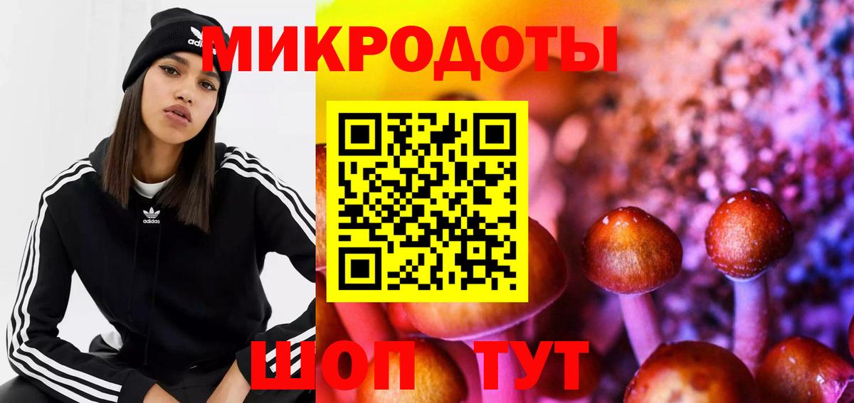 Псилоцибиновые грибы мухоморы Алексин